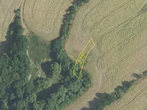 Dražba pole, Bojanovice, 22823 m2