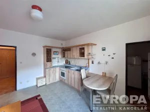 Pronájem bytu 1+kk, Dobřany, Loudů, 37 m2