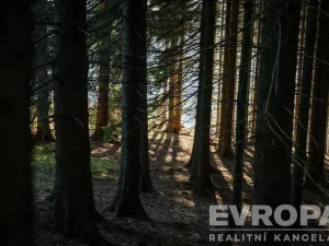 Prodej chalupy, Harrachov - Ryžoviště, 279 m2