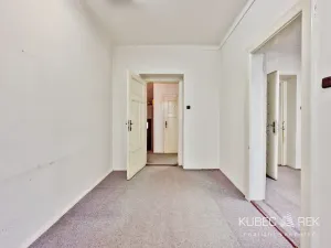 Prodej rodinného domu, Tábor, V Krátké, 210 m2