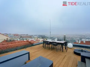 Pronájem bytu 5+kk, Praha, Belgická, 259 m2