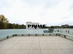 Pronájem rodinného domu, Praha - Řepy, U Lesoparku, 408 m2