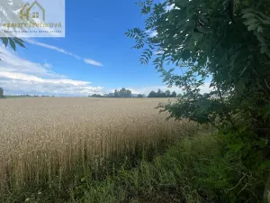 Prodej pozemku pro bydlení, Bezděkov, 633 m2