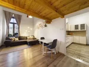 Prodej bytu 2+1, Plzeň, Na Roudné, 102 m2