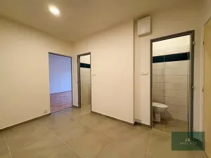 Prodej bytu 2+1, Plzeň, Mandlova, 47 m2