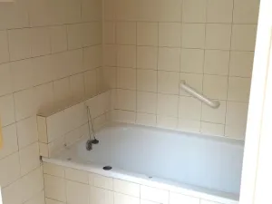 Pronájem bytu 3+1, České Budějovice - České Budějovice 3, Plzeňská, 63 m2