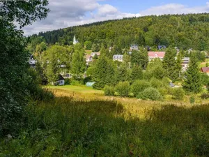 Prodej louky, Bedřichov