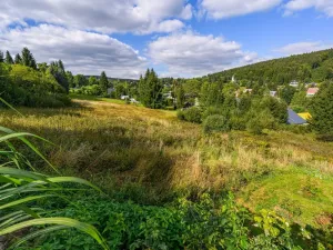 Prodej louky, Bedřichov