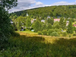 Prodej louky, Bedřichov, 5250 m2