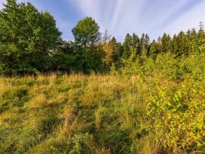 Prodej pozemku pro bydlení, Liberec - Liberec XIX-Horní Hanychov, 1533 m2