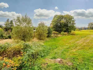 Prodej louky, Bedřichov, 3741 m2