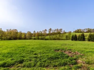 Prodej louky, Jablonec nad Nisou - Proseč nad Nisou, 10370 m2