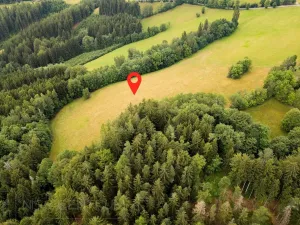 Prodej louky, Víchová nad Jizerou, 23358 m2