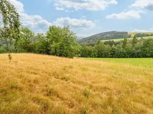 Prodej louky, Víchová nad Jizerou, 23358 m2