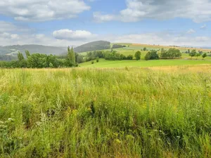 Prodej louky, Víchová nad Jizerou, 991 m2