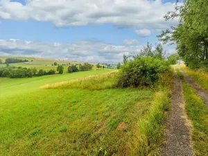 Prodej louky, Víchová nad Jizerou, 991 m2