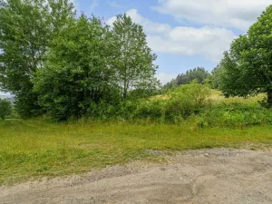 Prodej louky, Víchová nad Jizerou, 1739 m2