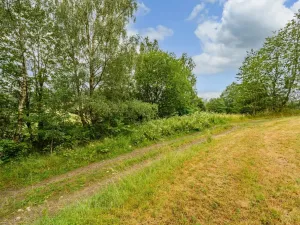 Prodej louky, Víchová nad Jizerou, 1739 m2