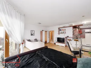 Prodej bytu 1+kk, Praha, 54 m2