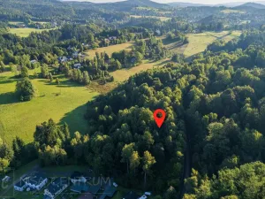 Prodej lesa, Nová Ves nad Nisou, 5031 m2