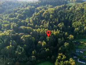 Prodej lesa, Nová Ves nad Nisou, 5031 m2