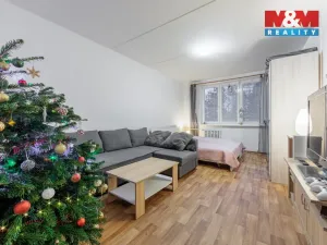 Pronájem bytu 2+1, Chodov, Palackého, 62 m2