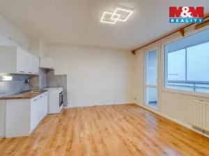 Pronájem bytu 1+kk, Plzeň - Bolevec, Tachovská, 27 m2