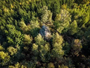 Prodej lesa, Šimonovice, 30343 m2