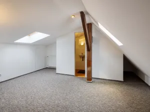 Prodej atypického bytu, Praha - Vinohrady, Vozová, 260 m2