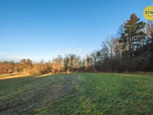 Prodej komerčního pozemku, Chrudim - Topol, 2696 m2