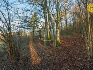 Prodej komerčního pozemku, Chrudim - Topol, 2696 m2