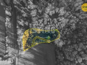 Prodej komerčního pozemku, Chrudim - Topol, 2696 m2