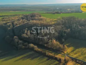 Prodej komerčního pozemku, Chrudim - Topol, 2696 m2