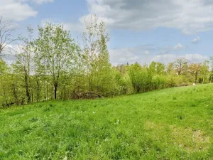 Prodej pozemku pro bydlení, Pertoltice, 1849 m2