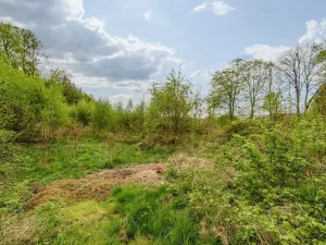 Prodej pozemku pro bydlení, Pertoltice, 1849 m2