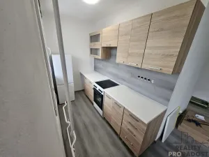 Pronájem bytu 1+1, Kladno, Francouzská, 28 m2