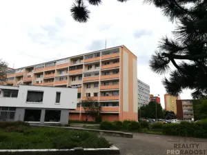 Pronájem bytu 1+1, Kladno, Francouzská, 28 m2