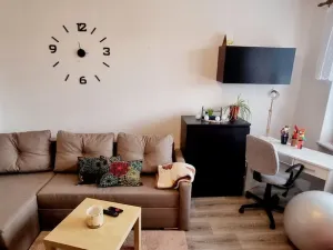 Pronájem bytu 1+1, Opava, 17. listopadu, 38 m2