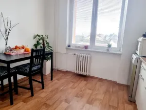 Pronájem bytu 1+1, Opava, 17. listopadu, 38 m2