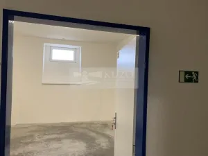 Pronájem skladu, Dobříč, 11 m2