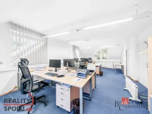 Pronájem rodinného domu, Průhonice, U Křížku, 447 m2