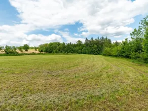 Prodej pozemku pro bydlení, Železný Brod, 3984 m2