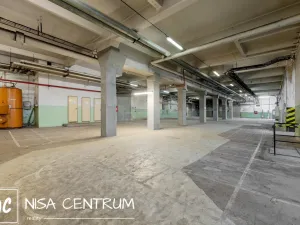Pronájem výrobních prostor, Hostinné, 6000 m2