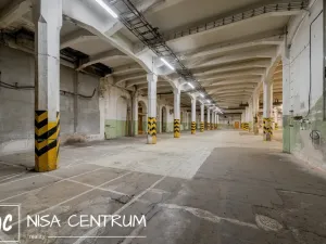 Pronájem výrobních prostor, Hostinné, 6000 m2