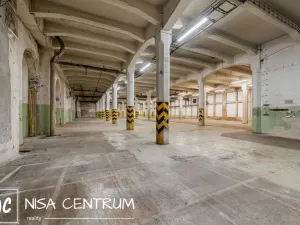 Pronájem výrobních prostor, Hostinné, 6000 m2