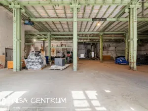 Pronájem výrobních prostor, Hostinné, 6000 m2