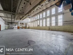 Pronájem výrobních prostor, Hostinné, 6000 m2