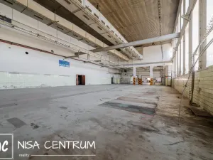 Pronájem výrobních prostor, Hostinné, 6000 m2