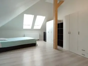 Prodej rodinného domu, Hředle, 398 m2