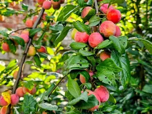 Prodej rodinného domu, Hředle, 398 m2